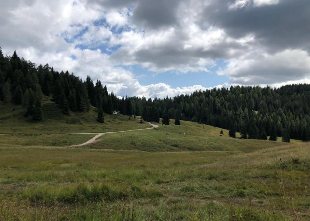 Appartamento Cologna Castelfondo Kültér fotó