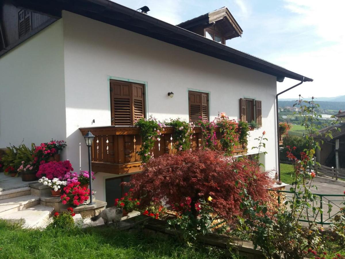 Appartamento Cologna Castelfondo Kültér fotó