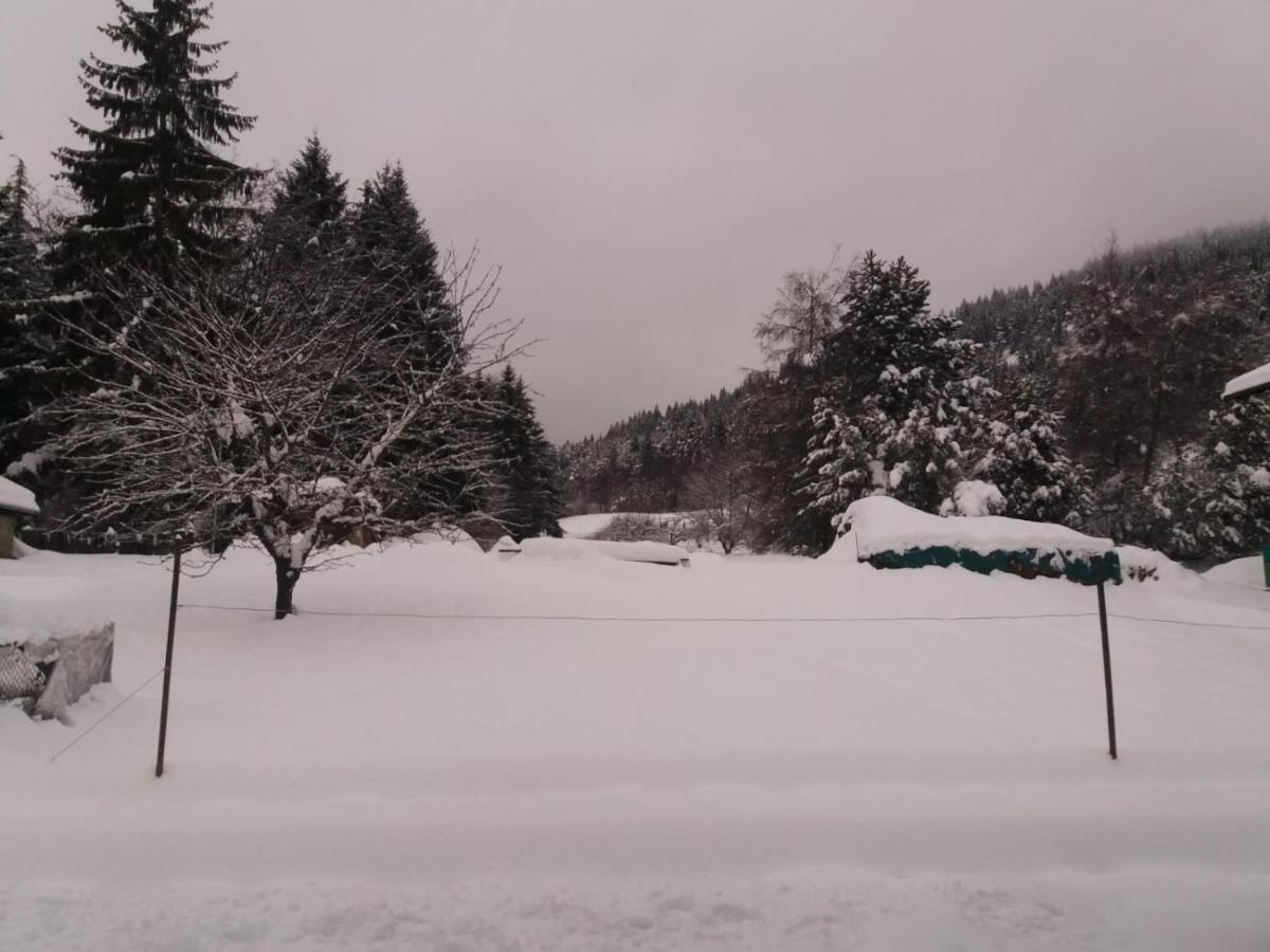 Appartamento Cologna Castelfondo Kültér fotó